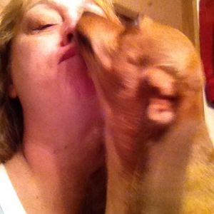 Meet your Posher, Tammy